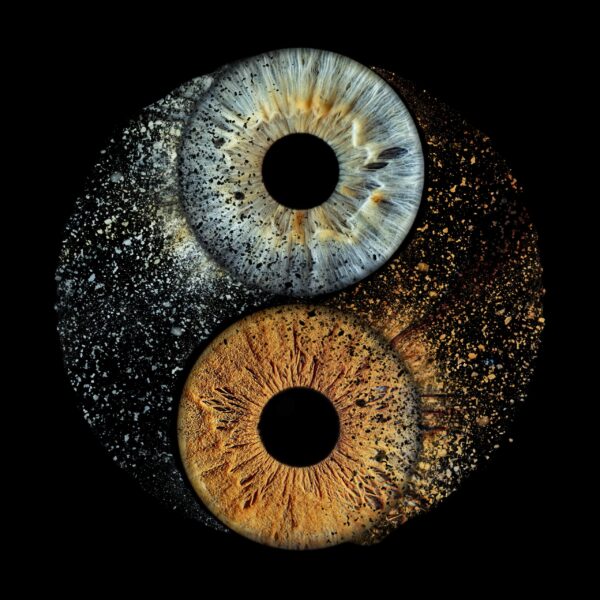 Yin Yang Print